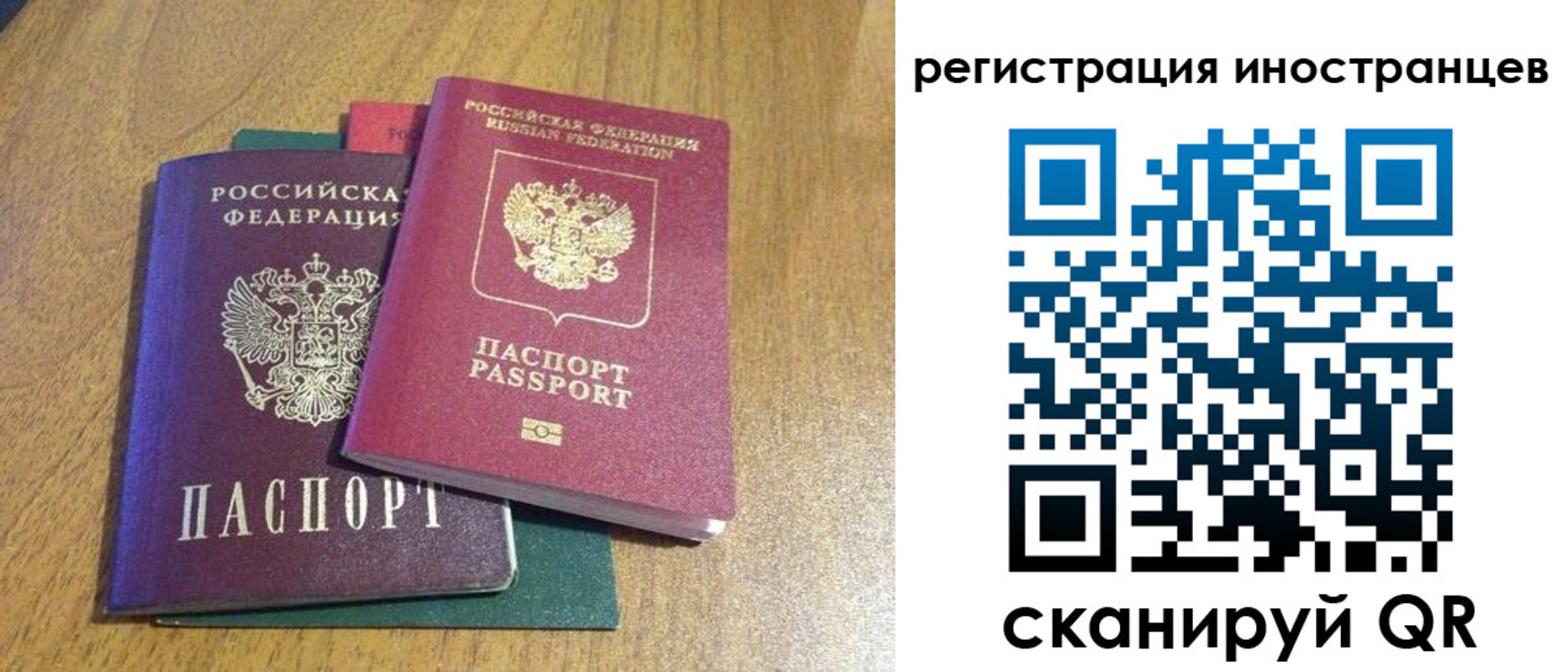 временная регистрация поиск в Всеволожске